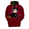 HARRY POTTER QUIDDITCH PULLOVER HOODIE